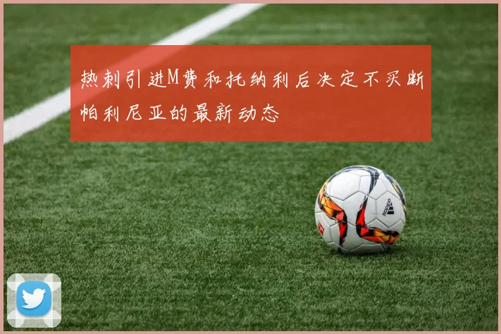 热刺引进M费和托纳利后决定不买断帕利尼亚的最新动态