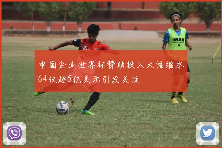 中国企业世界杯赞助投入大幅缩水64仅超5亿美元引发关注