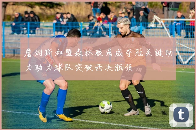 詹姆斯加盟森林狼或成夺冠关键助力助力球队突破西决瓶颈