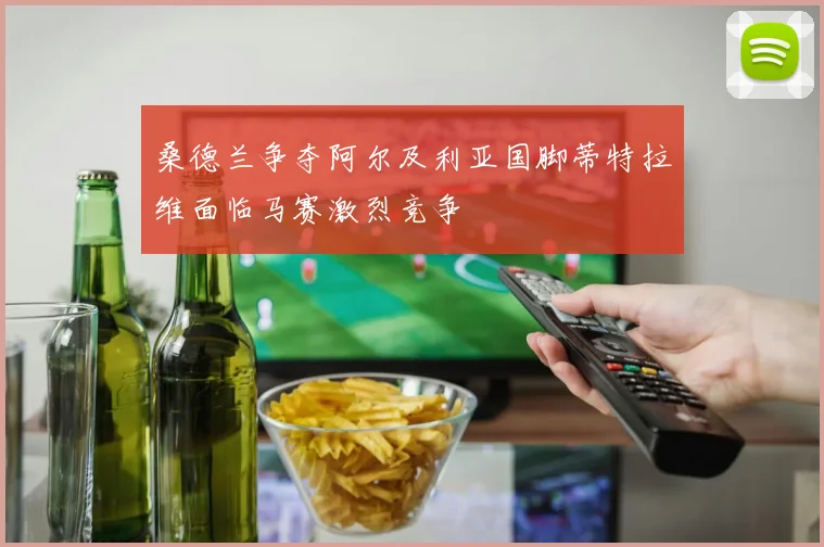 桑德兰争夺阿尔及利亚国脚蒂特拉维面临马赛激烈竞争